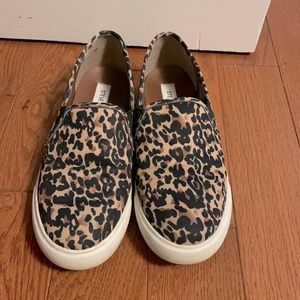 Steve Madden Shoes